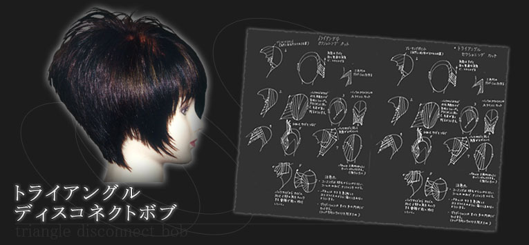 �g���C�A���O���f�B�X�R�l�N�g�{�u