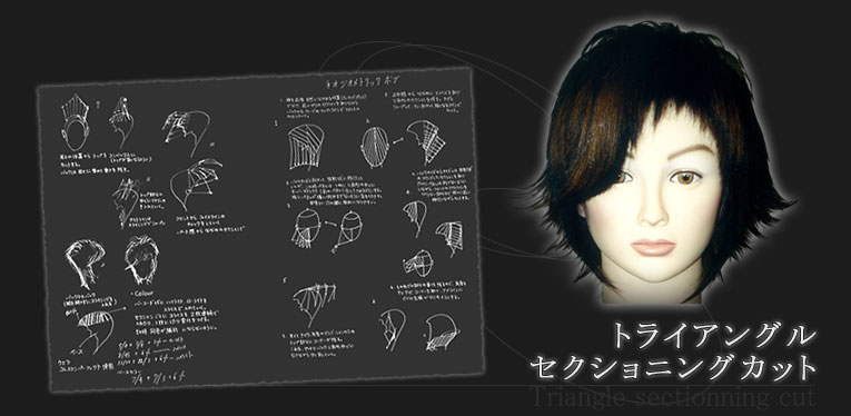 �g���C�A���O���Z�N�V���j���O�J�b�g