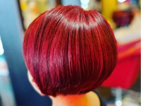 �M�������[�ʐ^