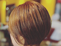 �M�������[�ʐ^