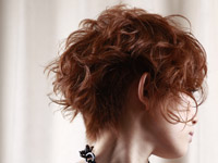 �M�������[�ʐ^