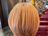 �M�������[�ʐ^