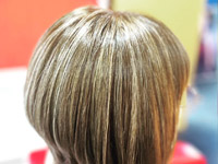 �M�������[�ʐ^