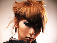 �M�������[�ʐ^