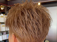 �M�������[�ʐ^