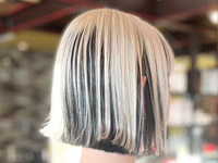 �M�������[�ʐ^