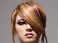 �M�������[�ʐ^