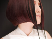 �M�������[�ʐ^