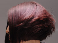 �M�������[�ʐ^