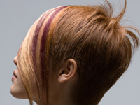 �M�������[�ʐ^